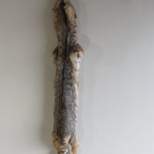 Bobcat Taxidermy Fur CB-104