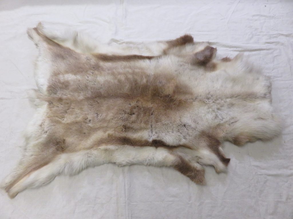 Caribou Tanned Hide/Skin O-111C – Mounts For Sale