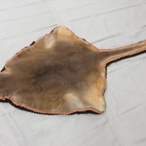 Australian Kangaroo Hide  X-119K