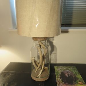 Great lamp featuring antlers and glass for sale.  A-106LA