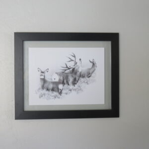 Dallen Lambson Wildlife Print.  Mule Deer Scene.  A-108W