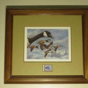 Thornbrugh print of Canada Geese in flight. Framed and matted.  A-115DU
