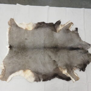 Mule Deer Taxidermy skin for sale.  M-141H