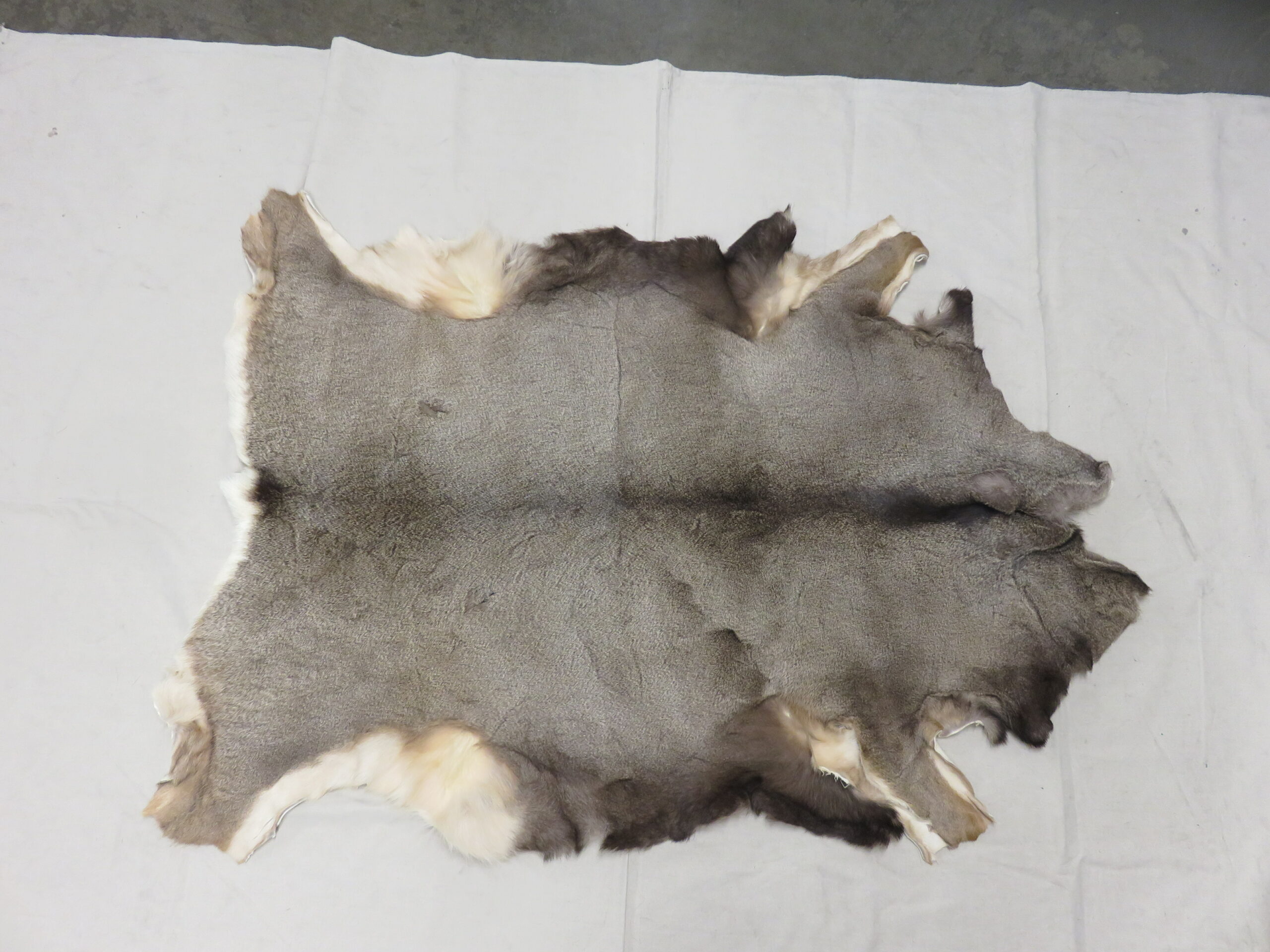 Real deer hide blanket online