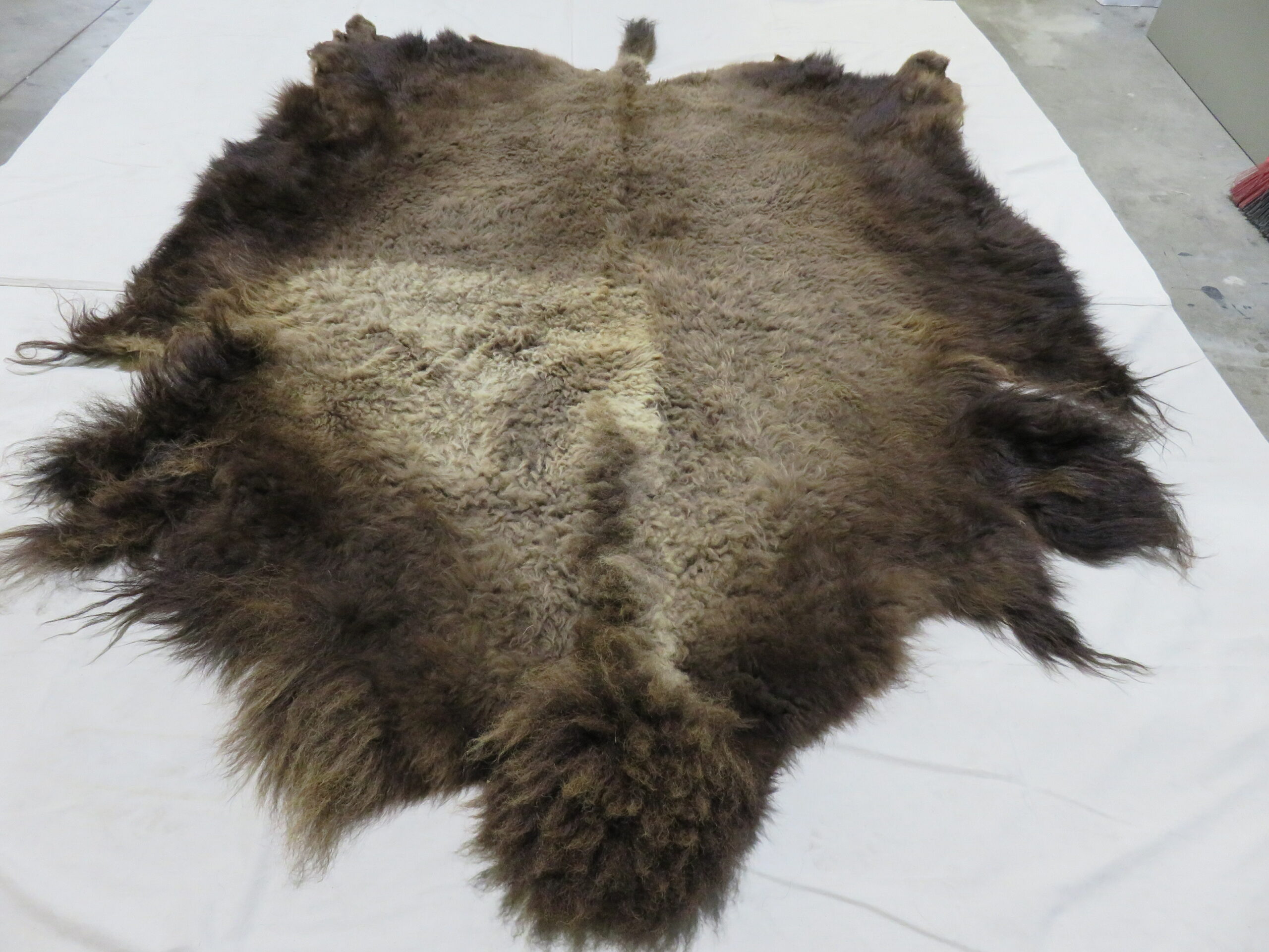 Buffalo hide online blanket