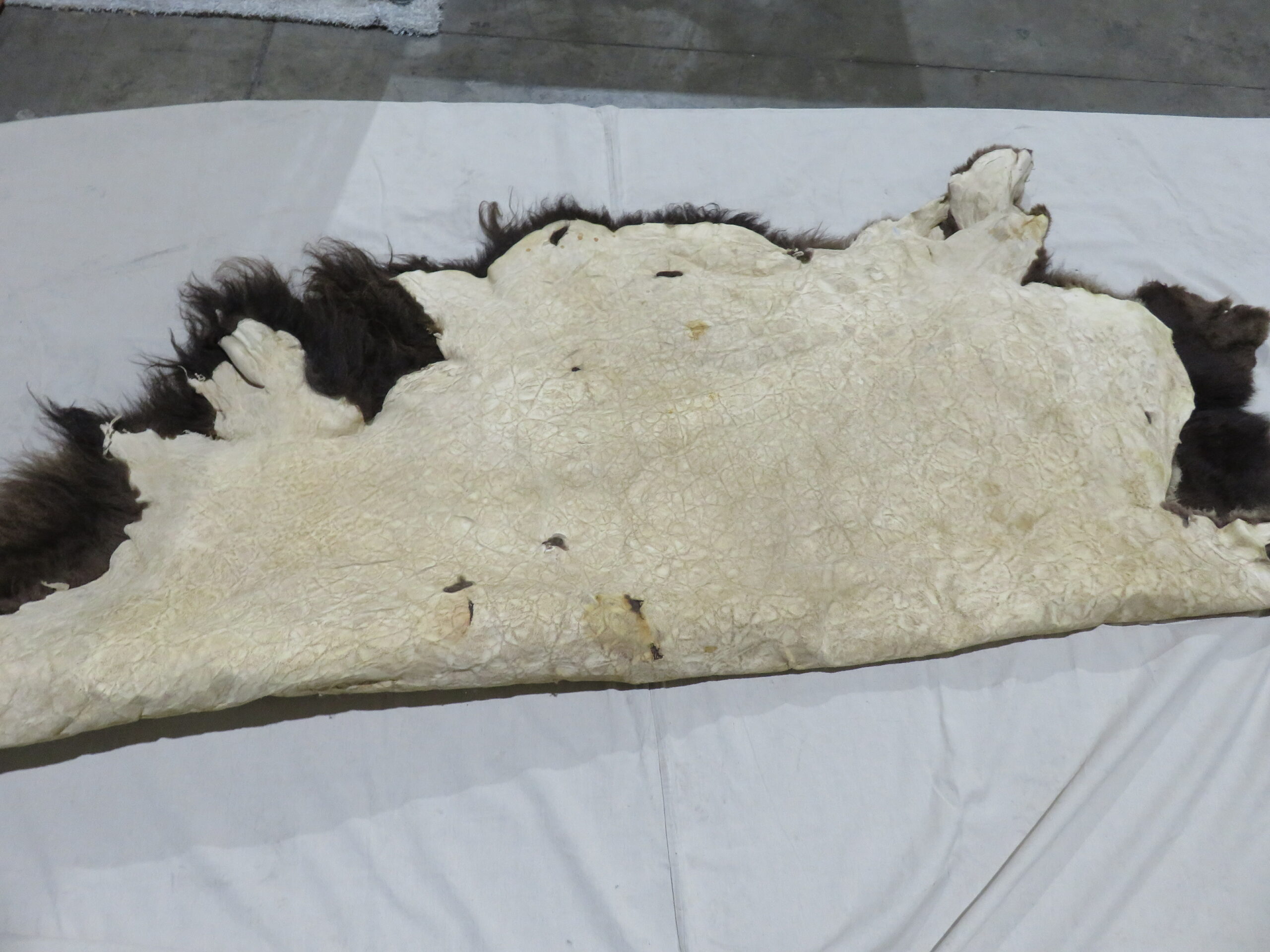 buffalo hides for sale buffalo hides for sale