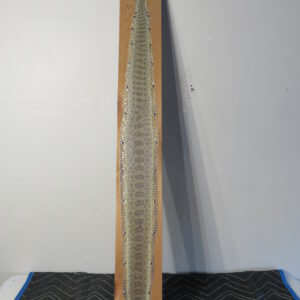 Montana Prairie Rattlesnake taxidermy skin for sale.  R-103RS
