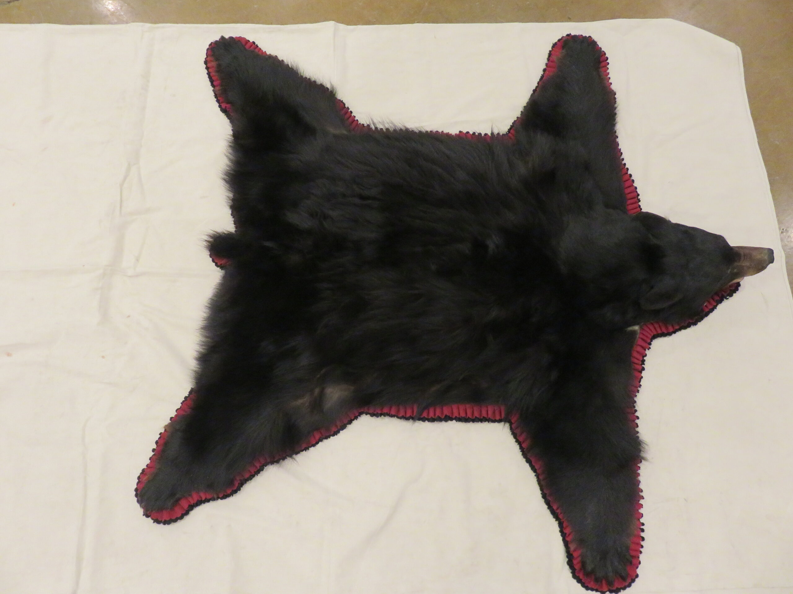 Black Bear Taxidermy Rug For B 120ru Mounts