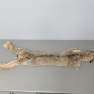 Canadian Lynx tube skin taxidermy for sale.  C-110LY