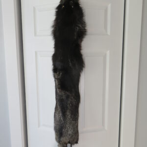Silver Fox taxidermy fur for sale.  P-117SF