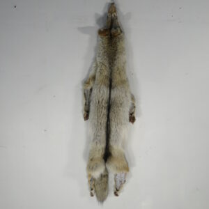 Coyote tanned skin/fur for sale.  P-116CC