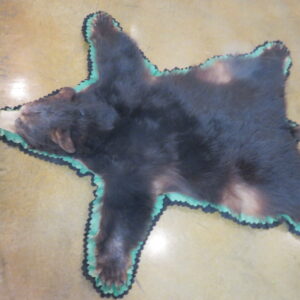 Bear Skin taxidermy rug for sale.  B-140R