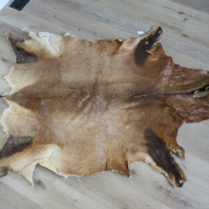 Red Hartebeest tanned skin/hide for sale.  X-146HA