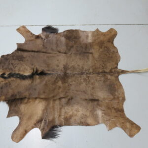 Blue Wildebeest Hide/Skin for sale.  X-146WI