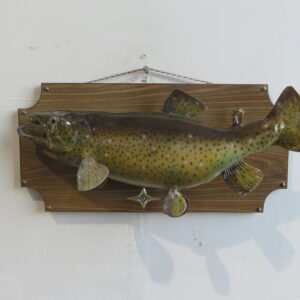 Brown Trout on plaque- fish for sale.  F-117TR