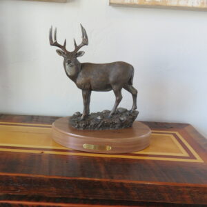 "Old Mossy Horn"  Sculpture signed by Bradford Williams.  A-124BSC