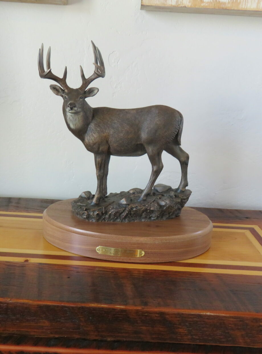 "Old Mossy Horn" Sculpture signed by Bradford Williams. A124BSC