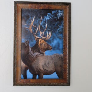 ELk Bull & Cow Art print. A-131FR