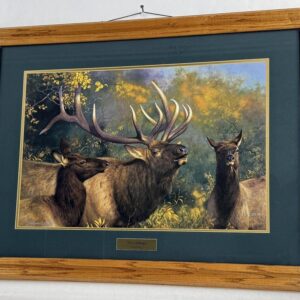 "Ivory Challenge" Framed Print for Sale.  Artist Hayden Lambson.