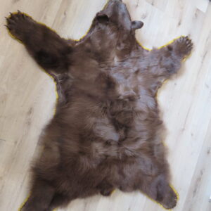 Black Bear Rug for sale.  B-144R