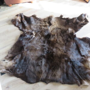 Moose skin/blanket for sale.  O-120MB