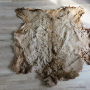 Elk Hide/Skin for sale.  E-132H