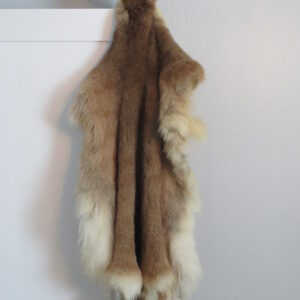 Mountain Lion Tanned skin for sale.  L-115SK