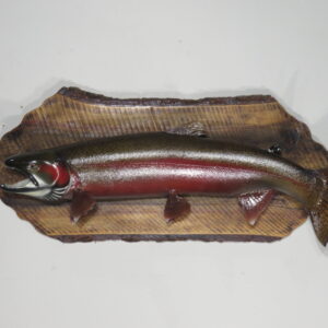 Steelhead Taxidermy Reproduction Mount for sale.  F-107ST