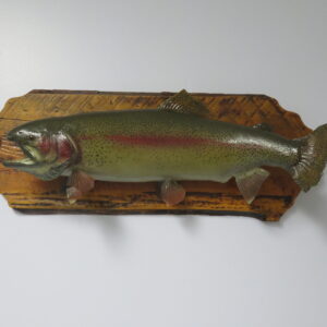 Rainbow Trout taxidermy fish for sale.  F-118TR