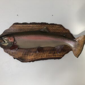 Steelhead Taxidermy Fish for Sale.  F-108ST